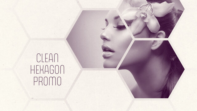 Clean White Hexagon Presentation