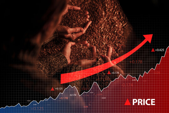 Shot of three farmers women with grain mountain and diagram going up.