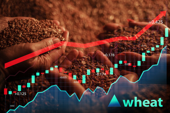 Shot of farmers women holding wheat grains on their hands and graphs with arrow.