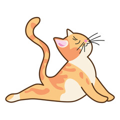 Cartoon cute cat doing yoga, kittens relax