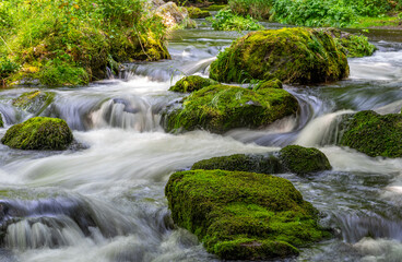 river in the vogtland forest