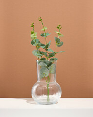 A beautiful, creative glass vase with a green plant branch on a white table and brown background.