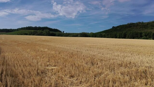Slow flight over a wheat field or farmland in southern germany under a blue sky in summer