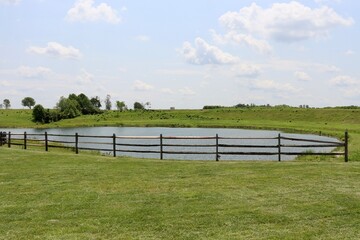 Fototapeta premium The pond in the countryside on a sunny day.