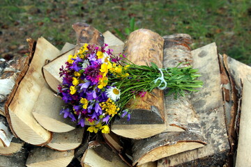 A bouquet of wild flowers lies on firewood in nature.