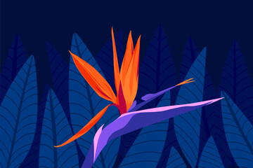 Tropical, summer exotic flowers and leaves, dark night jungle vector illustration. Bird of paradise, orange, purple color Strelitzia floral wallpaper, poster, banner. - 625193359