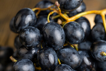 Unwashed blue grapes in the dust