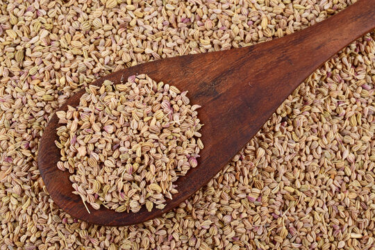 Top view of ammi seeds, indian spice ajwain