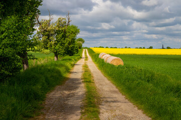 Panorama of a dirt road with trees and hay bales