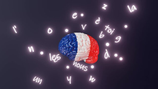 French Learning Foreign language fluency improvement Human brain glowing letters articles words 3d animation Studying Native speakers Memory. Online course education Expression Idiom Listening Reading