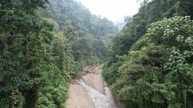 Bukit Lawang Jungle, Sumatra, Indonesia