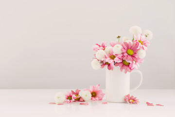 white and pink  chrysanthemums in white cup on white background