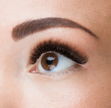 Beautiful macro shot of female brown eye with long false lashes. Young woman with make-up and eyelash extensions. Closeup beauty photo of fashion 3d 4d 5d sexy wispy effect volume lash extension set