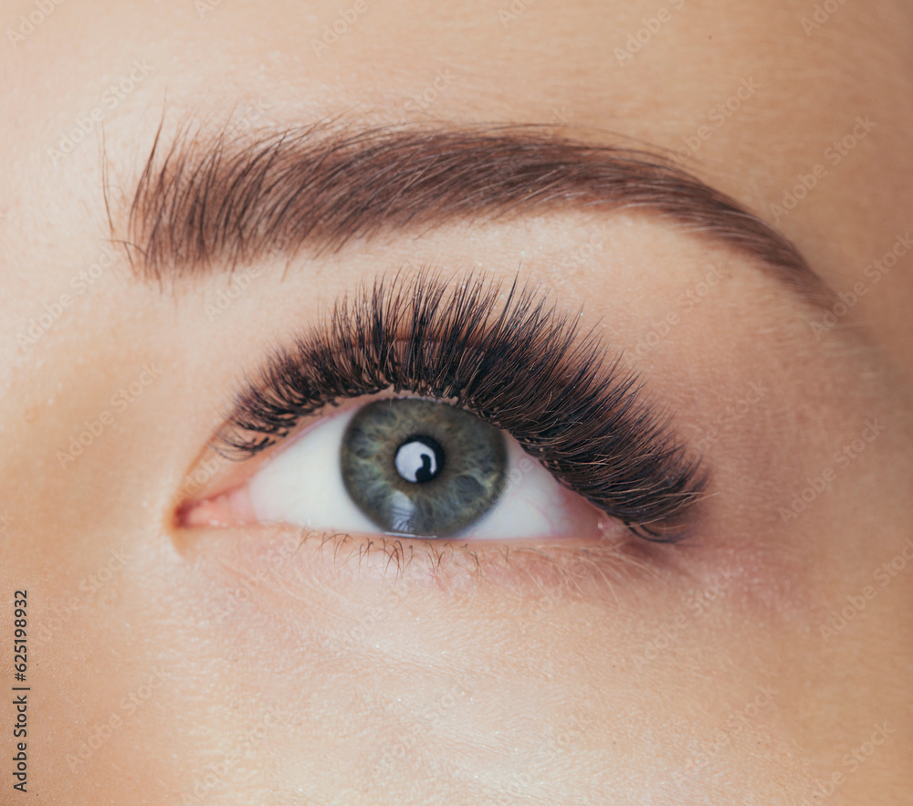 Wall mural Beautiful macro shot of female green eye with long false lashes. Young woman with makeup and brown eyelash extensions. Closeup beauty photo of fashion 3d 4d sexy wispy effect volume lash extension set