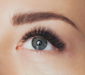 Beautiful macro shot of female green eye with long false lashes. Young woman with makeup and brown...