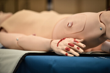 Fototapeta premium Paramedics simulate emergency intervention on medical training manikin