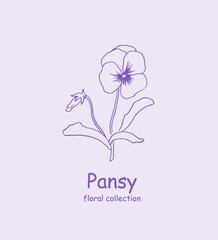 Pansy. Logo. Trendy botanical elements. Hand drawn line leaves and flowers.,flower illustration, violet , purple , pansies , bloom, blossom