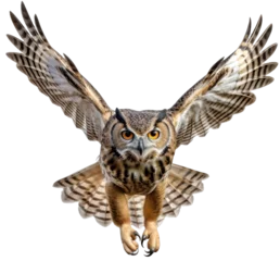 Photo sur Plexiglas Dessins animés de hibou Flying eagle owl isolated on white background as transparent PNG, generative AI animal
