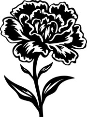 Silhouette flower plant images