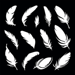 White silhouettes of a bird feather. Feather collection. Vector isolated on black