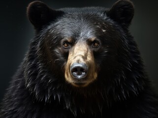 Ursus Portrait, A Majestic Illustration of a Dangerous Grizzly Bear, Generative AI