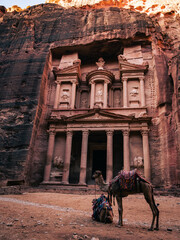 Camel in historic city in Petra