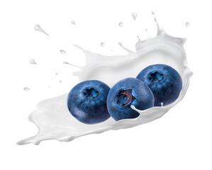 Splash and drops yogurt, milk, ice cream ripe blueberries, blueberries isolated