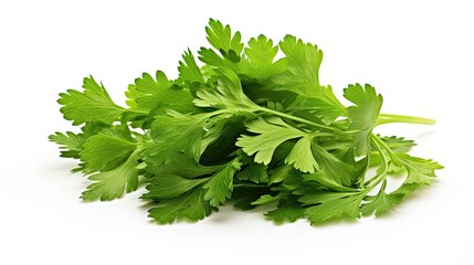 Fresh green vegan vitamin parsley isolated on white background