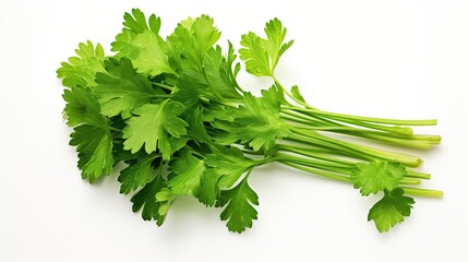 Fresh green vegan vitamin parsley isolated on white background