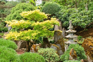 Fototapeta na wymiar Beautiful green decorative japanese garden in summer time