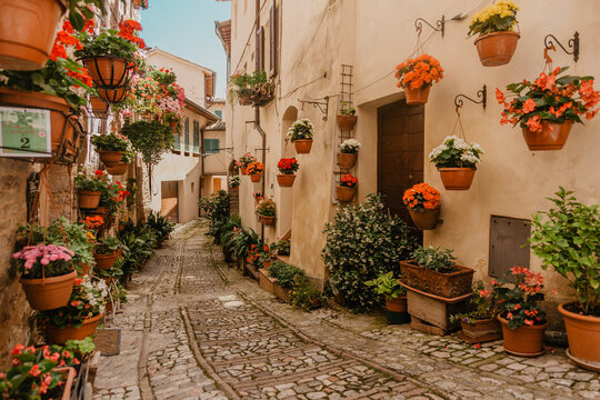 Fototapeta narrow flower street in the city of spello in italy