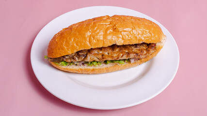 Fish doner kebab isolated close up