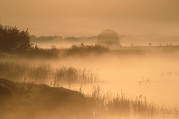 morning mist over the river