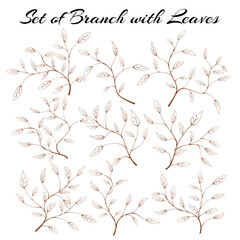 Set of silhouette branches with leaves. hand drawn of branch and leaf. Set of branches with leaves. hand drawn leaves. hand drawn leaf.
