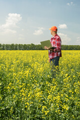 Agronomist or farmer with paptop Inspecting canola field. agriculture business concept.