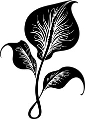 Silhouette flower plant images