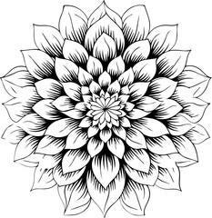 Silhouette flower plant images