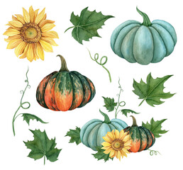 Watercolor set of pumpkins orange, blue and green colors with leaves and sunflower. Hand drawn illustration vegetable for the design of signage, agribusiness logo, banner with organic food, healthy
