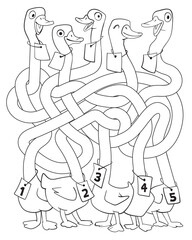 Funny geese with long, tangled necks. Children logic game to pass the maze. Educational game for kids. Choose right path. Write correct answers. Funny cartoon character. Coloring book