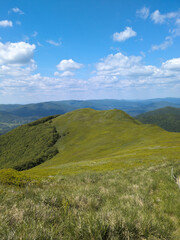 Fototapeta premium Połonina Wetlińska