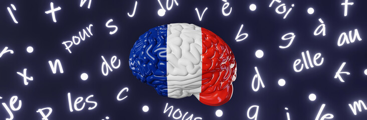 French Learning Foreign language fluency website banner Human brain glowing letters articles words 3d render. Studying Native speakers Memory Online course education Expression Idiom Listening Reading