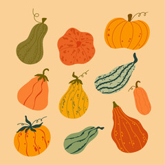 Set of various pumpkins vector illustration in cartoon style. Collection of different shapes vegetables. Cute colored, modern, flat pumpkin hand drawn autumn, fall, seasonal graphic elements