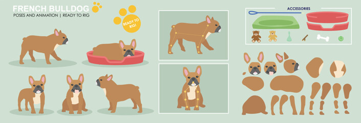 Cute brown french bull dog vector collection of poses with multiple angles and accessories. Puppy sleeping, sitting, walking, popular dogs