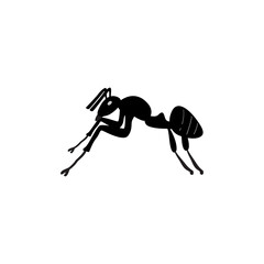A worker ant, ant garden insect, transparent background PNG