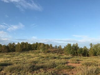 Obraz premium The nature of a Kazakhstan