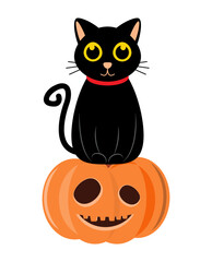 Black cat and halloween pumpkin . Cartoon character . Vector illustration .