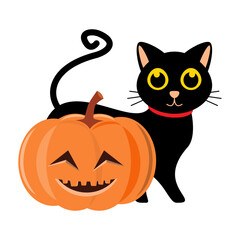 Black cat and halloween pumpkin . Cartoon character . Vector illustration .