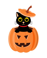 Black cat and halloween pumpkin . Cartoon character . Vector illustration .