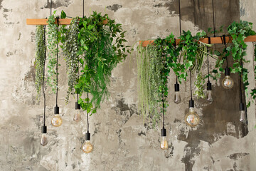 Many different retro Edison light bulbs with garland from green plants and leafs hanging from ceiling. Loft pendant lamps on background of rough cement plaster on wall. Vintage Edison light bulbs. 