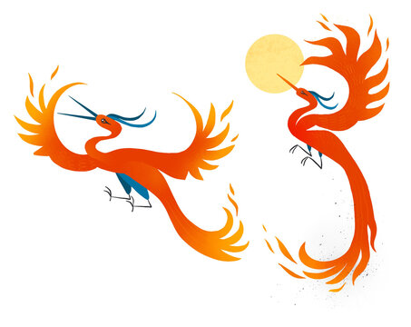 Phoenix Illustration - the Fire Bird